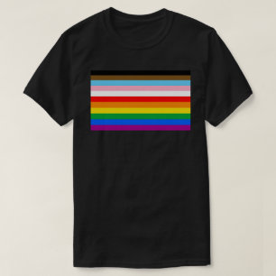 LGBTQ+ Inclusive Pride Flag T-Shirt