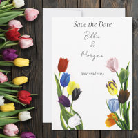LGBTQ plus Tulip Flowers