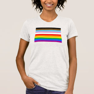 LGBTQ+ Progress Flag Stripes T-Shirt