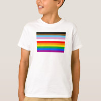 LGBTQ+ Progress Flag Stripes