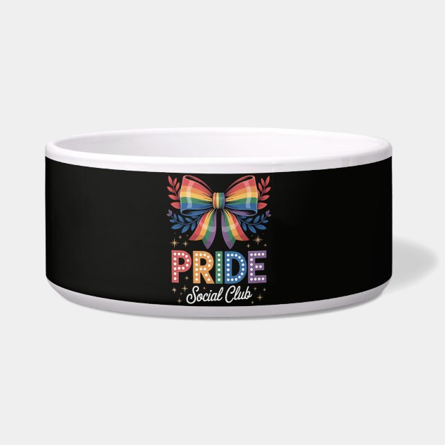 LGBTQ Rainbow Bow (Front)