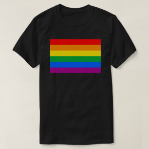 LGBTQ+ Rainbow Flag T-Shirt
