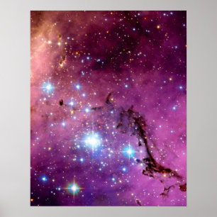 LHA 120-N11 Star Formation Hubble Space Photo Poster