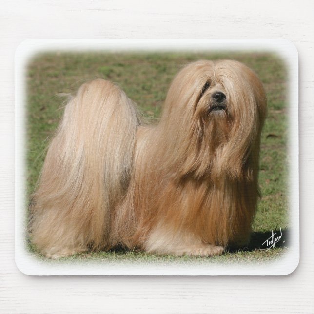 Lhasa Apso 9Y394D-079 Mouse Mat (Front)