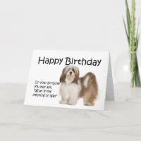 Happy birthday lhasa store apso