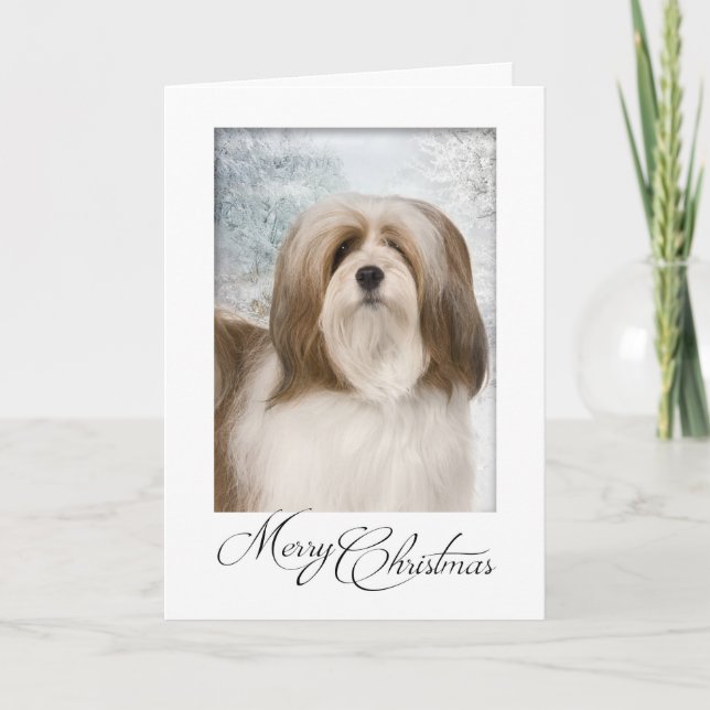 Lhasa Apso Christmas Card (Front)