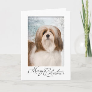 Lhasa Apso Christmas Card