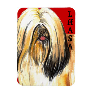 Lhasa Apso Colour Block Magnet