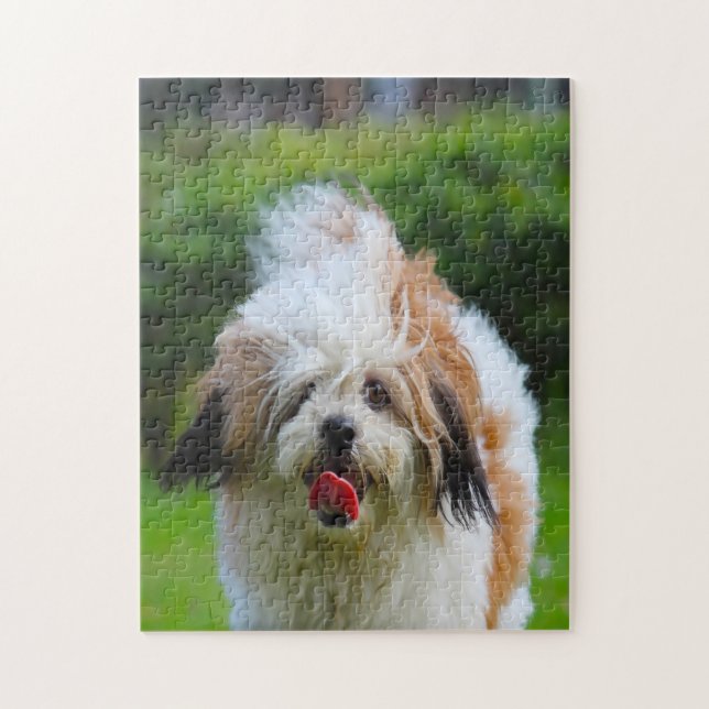 Lhasa Apso Dog Breed. Jigsaw Puzzle (Vertical)