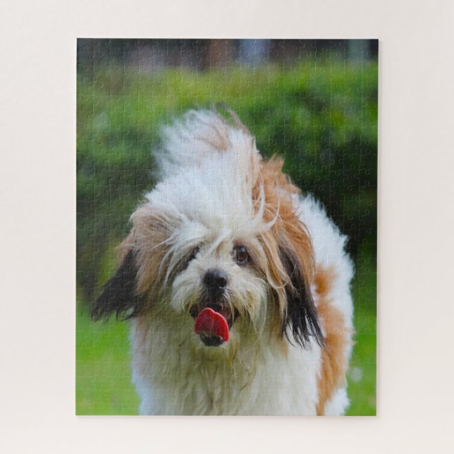 Lhasa Apso Dog Breed. Jigsaw Puzzle (Vertical)
