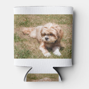 Lhasa Apso dog Can Cooler