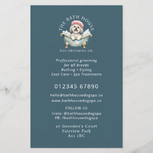 Lhasa Apso Dog Grooming Promotional Flyer - Teal
