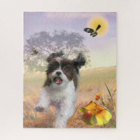 Lhasa Apso Dog High Tail Home
