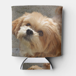 Lhasa Apso dog in a garden Can Cooler