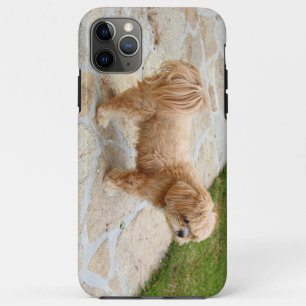 Lhasa Apso dog in a garden iPhone 11 Pro Max Case