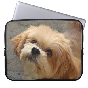 Lhasa Apso dog in a garden Laptop Sleeve