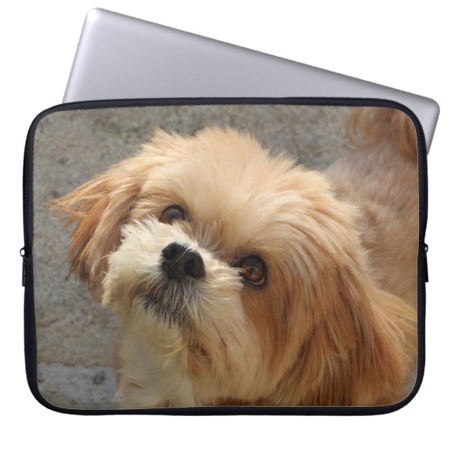 Lhasa Apso dog in a garden Laptop Sleeve (Front)
