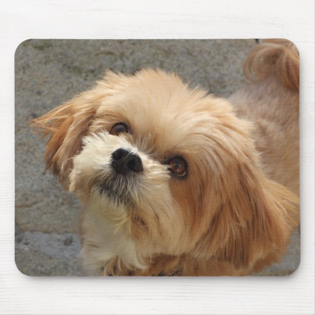 Lhasa Apso dog in a garden Mouse Mat (Front)