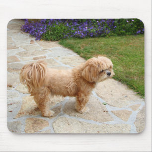 Lhasa Apso dog in a garden Mouse Mat
