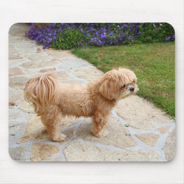 Lhasa Apso dog in a garden Mouse Mat (Front)