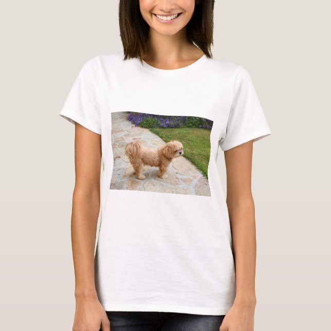 Lhasa Apso dog in a garden T-Shirt (Front)