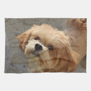 Lhasa Apso dog in a garden Tea Towel