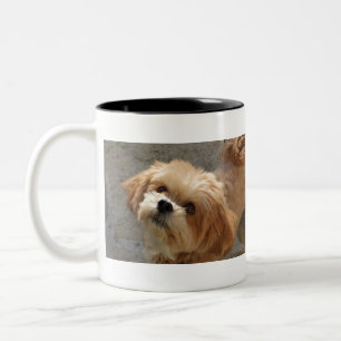 Lhasa Apso dog in a garden Two-Tone Coffee Mug