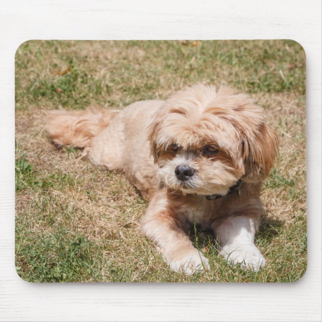 Lhasa Apso dog Mouse Mat (Front)