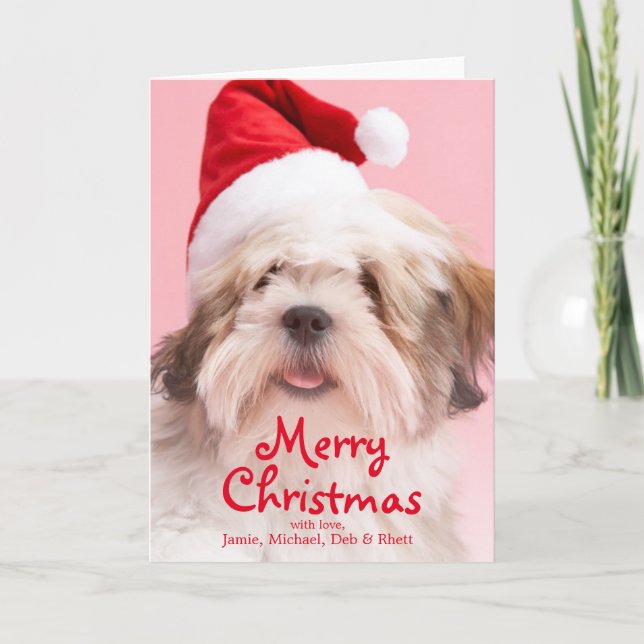 Lhasa Apso Dog Wearing Santa Hat Holiday Card (Front)
