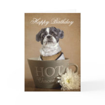 Lhasa apso greetings card