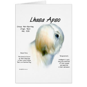 Lhasa Apso History Design