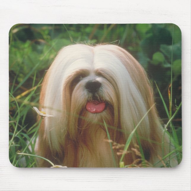 Lhasa Apso Mouse Mat (Front)