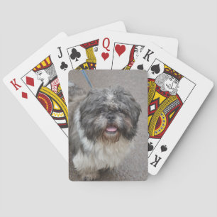 Lhasa Apso Playing Cards