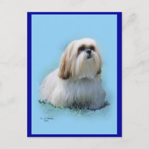 Lhasa Apso Postcard