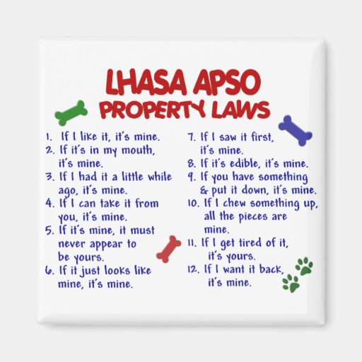 Image of LHASA APSO Property Laws 2 Magnet