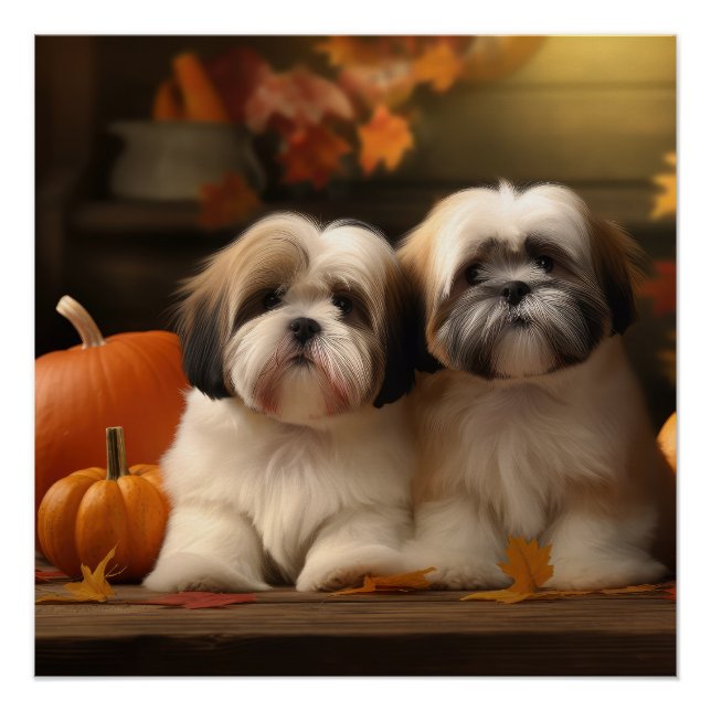 Lhasa Apso Puppy Autumn Delight Pumpkin  Poster (Front)