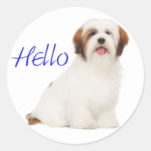 Lhasa Apso Puppy Dog  Canine Pup Sticker / Label