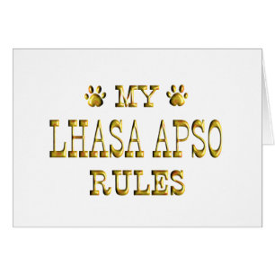 Lhasa Apso Rules Gold