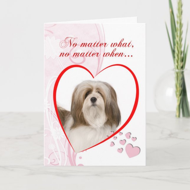 Lhasa Apso Valentine's Day Card (Front)