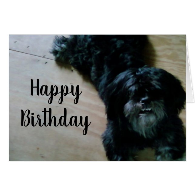 LHASA APSO WISHES FOR A HAPPY BIRTHDAY (Front Horizontal)