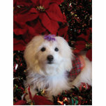 LhasaPoo Standing Photo Sculpture<br><div class="desc">Cute dog dressed for the Holidays</div>