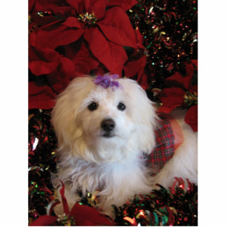 LhasaPoo Standing Photo Sculpture