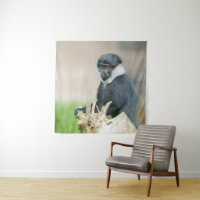 L'Hoest's Monkey on a Wooden Perch 