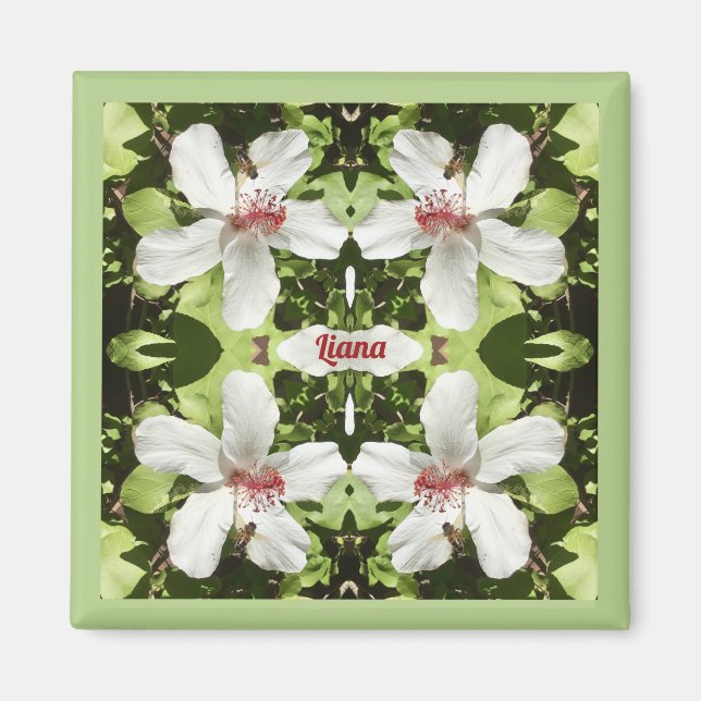LIANA ~ EASTER ~ White Hibiscus Flowers ~ Magnet (Front)