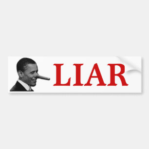 LIAR BUMPER STICKER