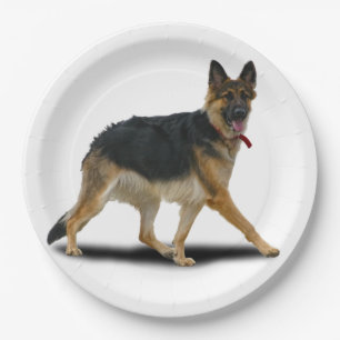 LIBBY PAPER PLATE