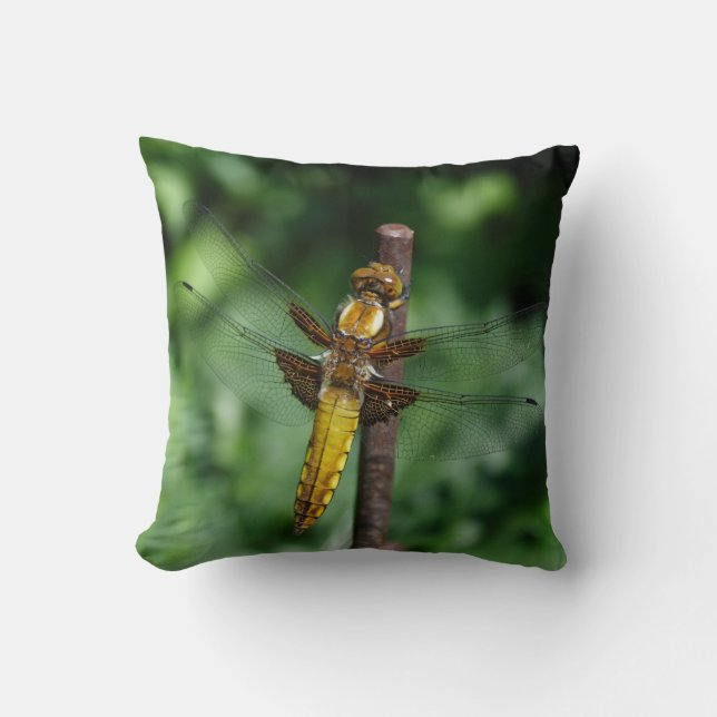 Libellula depressa cushion (Front)