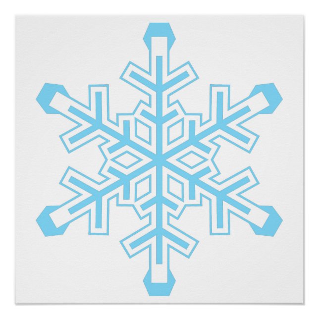 Liberal Snowflake Protest Sign or Poster (Front)