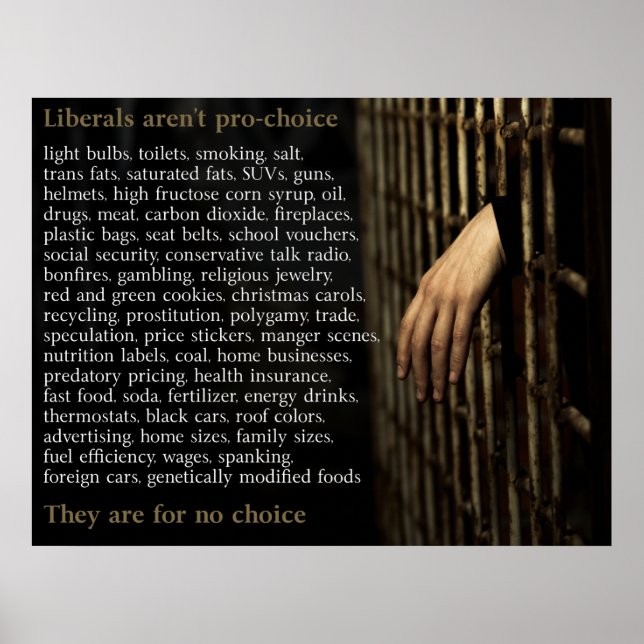 Liberals Are Not Pro-Choice Poster (Front)