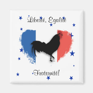 Liberté, Egalité, Fraternité Magnet